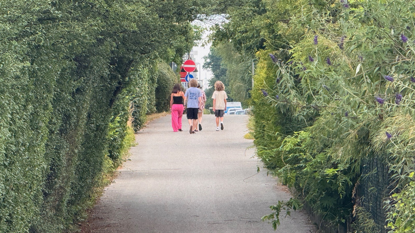 The three walking a green hedge-lined lane in Oberschleissheim