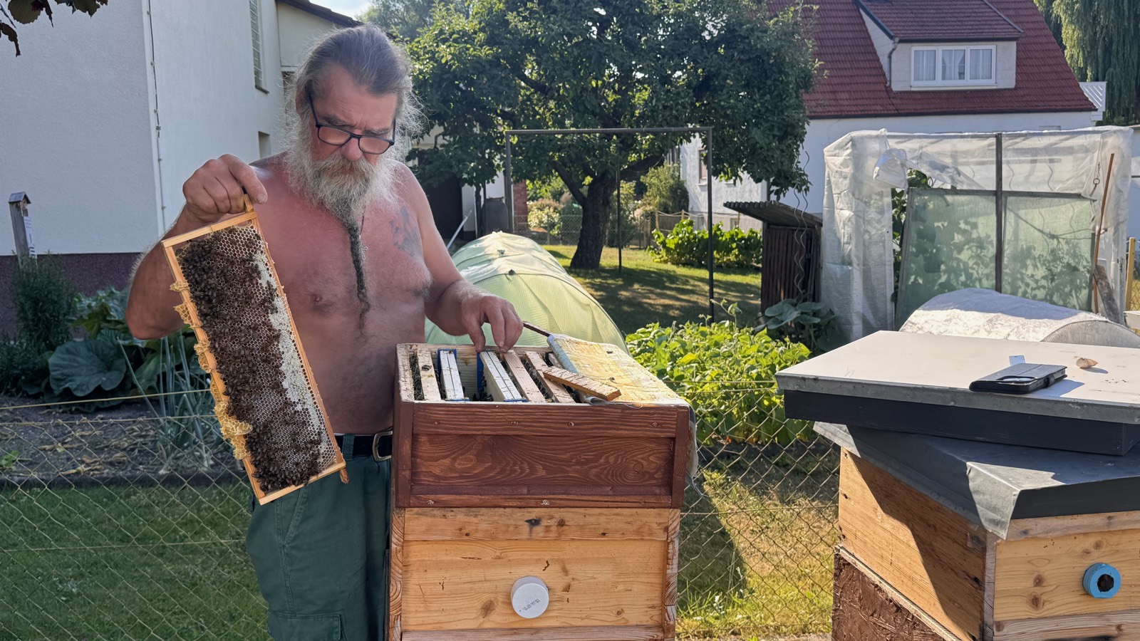 The beekeeper lifting a honeycomb frame out of the hive